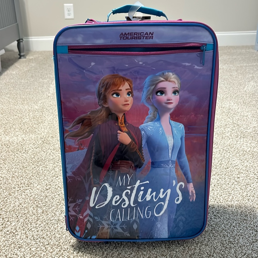 Frozen Luggage